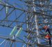 В ремонт электросетевого комплекса Кубани и Адыгеи «Россети Кубань» вложат свыше 3 млрд руб
