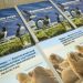 «Роснефть» продолжит реализацию программы сохранения биологического разнообразия арктических экосистем