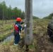 В капремонт своей части ЛЭП «Сотник – Тавда» «Россети Тюмень» вложили около 2,8 млн руб