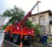 Энергетики Сочинского филиала «Россети Кубань» ликвидируют последствия природной стихии