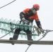 «Россети Ленэнерго» повысили в Ленобласти надежность электроснабжения более 30 тыc потребителей