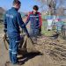 Энергетики привели в порядок захоронения фронтовиков в Бузулуке