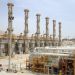 Иран нарастит производство нефтехимической продукции в провинции Бушер