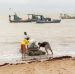 Из-за разлива нефти в Бразилии запрещен промысел креветок и омаров