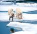 Законопроект о преференциях для инвесторов в Арктике в Госдуму внесут в следующем феврале
