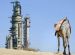 Саудовская Аравия выполнит запросы 9 покупателей нефти перед панелью OPEC+
